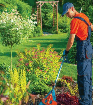Local SEO Guide for Landscaping Companies