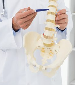 Local SEO for Chiropractors