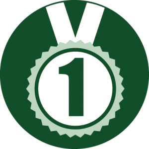 Number 1 Green metal icon